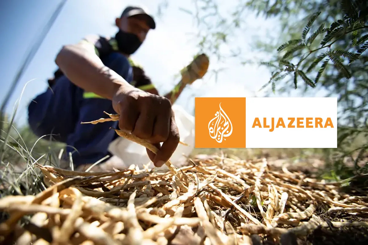 MannaBrew article on Aljazeera