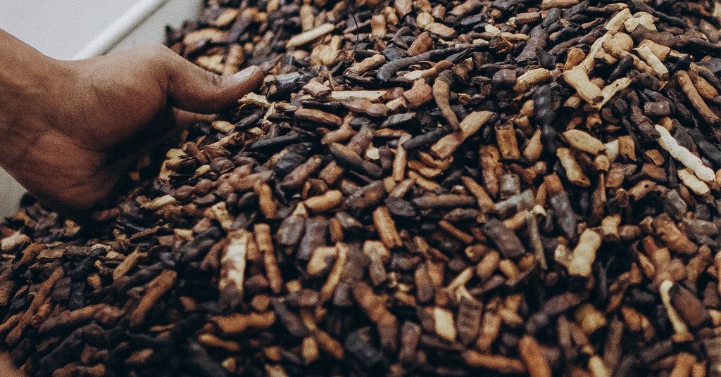 Mesquite Seedpod Powder: A Mineral-Rich, Alkalizing Superfood for Whole-Body Wellness